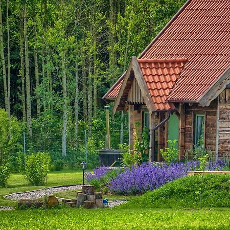 Вилла Zielone Lawki Рын Экстерьер фото